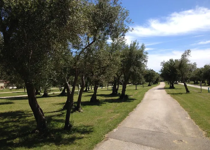 Mobile In With Shared Pool ラバック