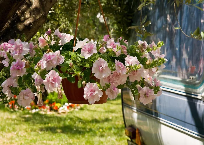 Mobile In With Shared Pool 別荘